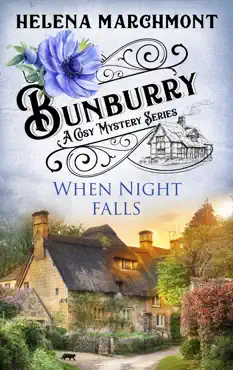 bunburry - when night falls book cover image