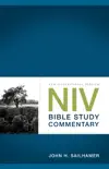 NIV Bible Study Commentary synopsis, comments