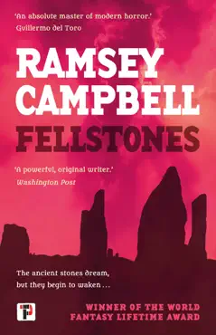 fellstones book cover image