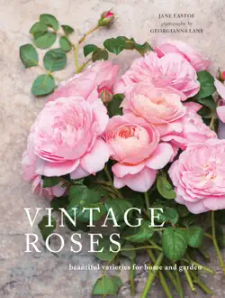 vintage roses book cover image