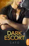 Dark Escort synopsis, comments