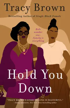 hold you down book cover image