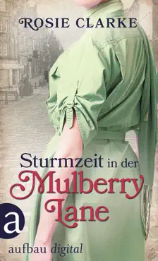 sturmzeit in der mulberry lane imagen de la portada del libro