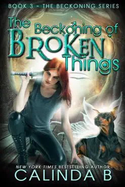 the beckoning of broken things book cover image