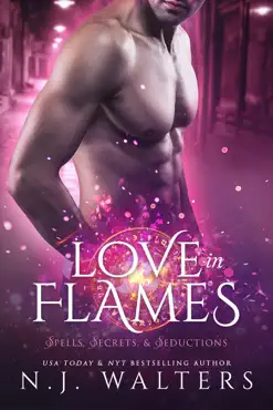 love in flames book cover image