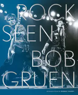 rock seen book cover image