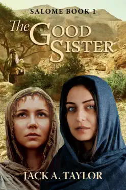 the good sister book cover image