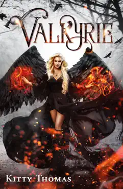 valkyrie book cover image
