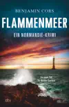 Flammenmeer synopsis, comments