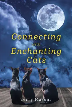 connecting with enchanting cats book cover image