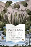 Papyrus synopsis, comments