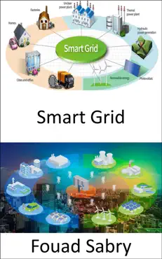 smart grid book cover image