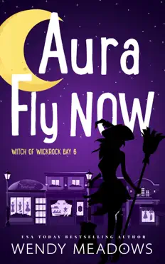 aura fly now book cover image
