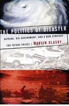 the politics of disaster book cover image