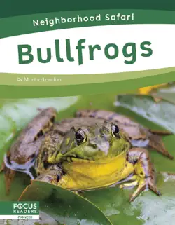 bullfrogs book cover image