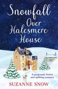 snowfall over halesmere house book cover image