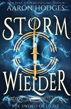 stormwielder book cover image
