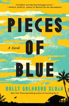 pieces of blue imagen de la portada del libro