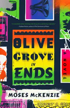 an olive grove in ends book cover image