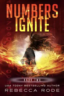 numbers ignite book cover image