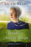 Brush of Angel's Wings sinopsis y comentarios