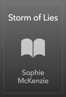 storm of lies imagen de la portada del libro