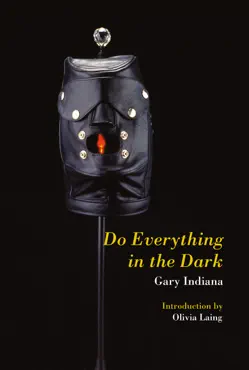 do everything in the dark book cover image