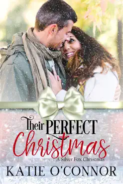 their perfect christmas book cover image