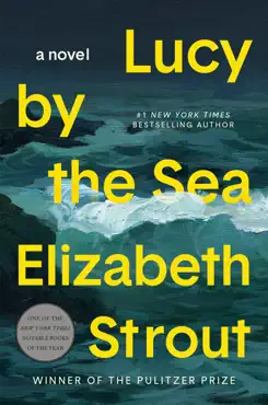 lucy by the sea book cover image