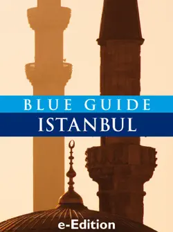 blue guide istanbul book cover image