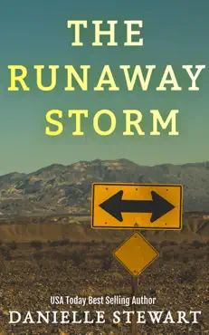 the runaway storm book cover image