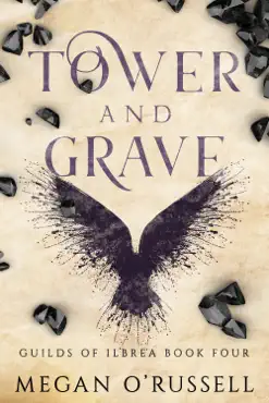 tower and grave book cover image