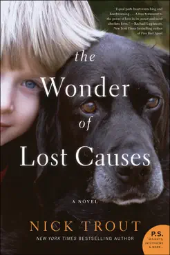 the wonder of lost causes book cover image