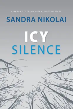 icy silence book cover image