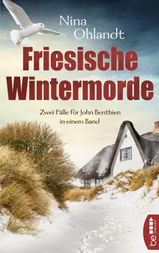 friesische wintermorde book cover image