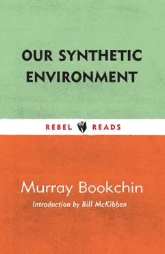 our synthetic environment book cover image