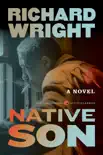 Native Son synopsis, comments
