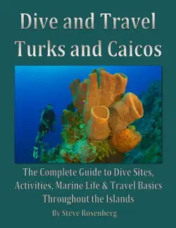 dive and travel turks and caicos book cover image