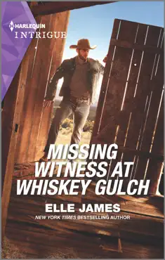 missing witness at whiskey gulch book cover image