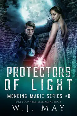 protectors of light book cover image