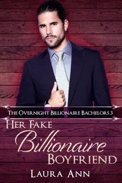 her fake billionaire boyfriend book cover image