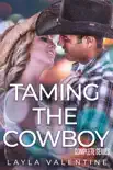 Taming The Cowboy (Complete Series) sinopsis y comentarios