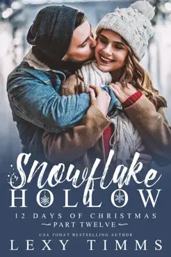 snowflake hollow - part 12 book cover image