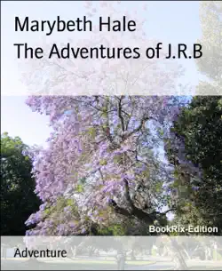 the adventures of j.r.b book cover image
