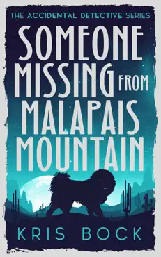 someone missing from malapais mountain book cover image