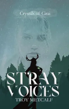 stray voices book cover image