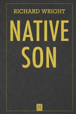 native son book cover image