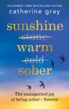 Sunshine Warm Sober synopsis, comments