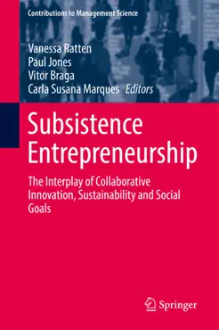 subsistence entrepreneurship book cover image