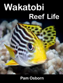 wakatobi reef life book cover image